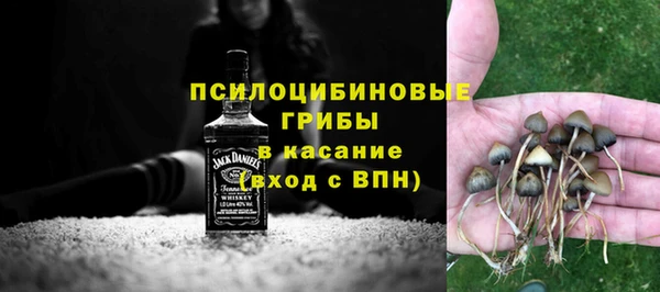 таблы Алзамай
