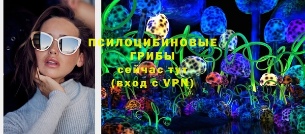 не бодяженный Алексин